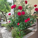 Olga *